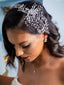 Sparkly Ladies Updo Hair With Rhinestone Headband Hair Accessories for Women