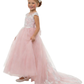 Princess Flower Girl Gown with Illusion Neck Sleeveless A Line Tulle Skirt Lace Train Dress