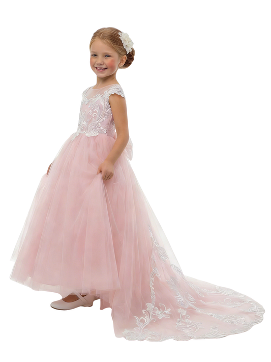 Princess Flower Girl Gown with Illusion Neck Sleeveless A Line Tulle Skirt Lace Train Dress