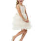 Tiered Tulle Flower Girl Dress with Sleeveless Lace Top and Short Party A-Line Silhouette
