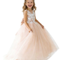Lace Tulle Flower Girl Dress Floral Embroidery Open Back Bow Accent Cute Elegant Dress