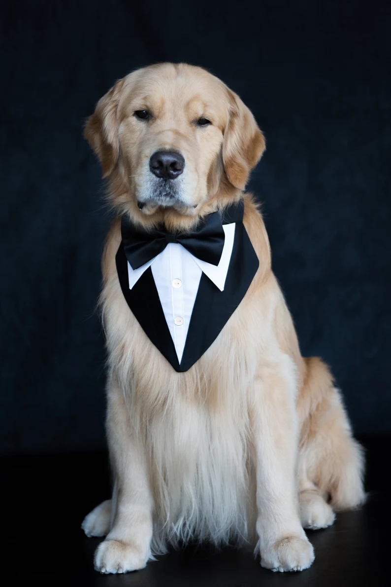 Formal Dog Tuxedo Wedding Bandana with Bowtie Adjustable Outfit for Dogs Pets