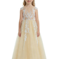 Lace Applique Flower Girl Dress, Spaghetti-Straps Sleeveless A-Line, Elegant Tulle Skirt