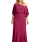 Elegant Mother of the Bride Dresses Formal Dresses for Weddings Chiffon Women Dress