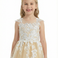 Lace Applique Flower Girl Dress, Spaghetti-Straps Sleeveless A-Line, Elegant Tulle Skirt