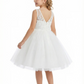 V-Neck Lace Flower Girl Dress with Sleeveless Bodice and Tea Length Princess Tulle Skirt