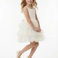Tiered Tulle Flower Girl Dress with Sleeveless Lace Top and Short Party A-Line Silhouette