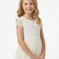 Short Sleeves Lace Applique Bow Princess Dress Flower Girl Dress Birthday Party Dresses