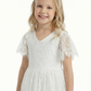 Short Sleeves V-neck Lace Princess Dress Flower Girl Dress Birthday Party Dresses