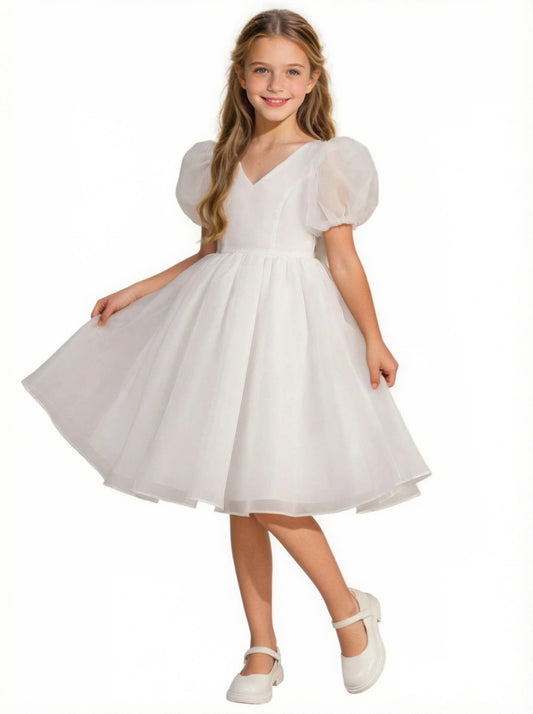 Wedding Flowers Pageant Dress V Neck Flower Princess Dress Princess Lace