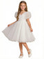 Wedding Flowers Pageant Dress V Neck Flower Princess Dress Princess Lace