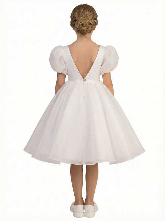 Wedding Flowers Pageant Dress V Neck Flower Princess Dress Princess Lace