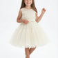 Lovely Wedding Flowers Girl Gowns Pageant Dress Flower Princess Dress for Wedding Tulle