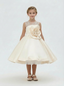 Lacey Bell Communion Dress Knee Length Pageant Dress Flower Princess Childrens Dresses for Wedding