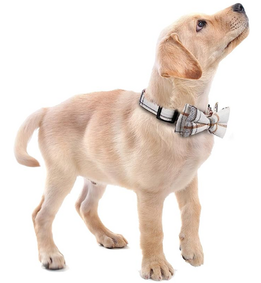 Pets Collar with Bowtie, Durable Adjustable and Comfortable Collar